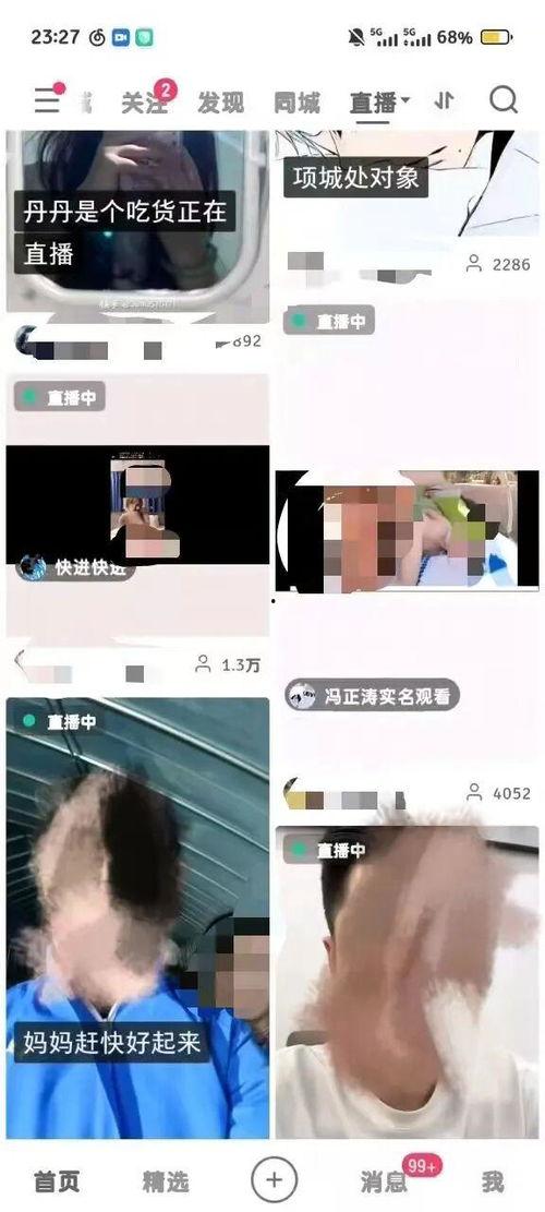 成人在线短视频,成人在线娱乐的崛起与影响