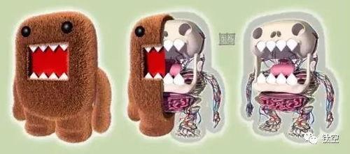 塑胶成人玩具视频,从视频看塑胶成人玩具的多样性与使用技巧