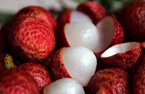 荔枝视频在线成人www,在线成人内容的秘密世界