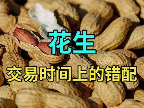 视频成人九九精品