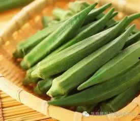 秋葵视频色版成人